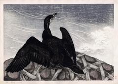 Cormorant sitting on a gabion near some rapids