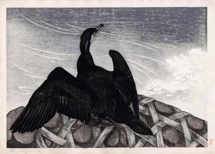 Cormorant sitting on a gabion near some rapids