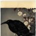 Jungle crow or <i>hashibutogarasu</i> (嘴太鴉) on cherry branch