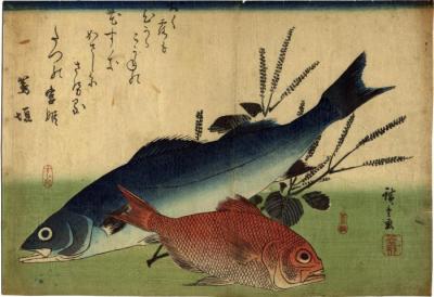 Suzuki [すずき] and kinmedai [金目鯛] with sprigs of shiso [しそ] from an untitled series known as the Large Fish  (<i>Uozukushi</i> [魚尽くし])