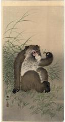 Seated monkey studying a wasp by its stinger in his hand [猿と蜂 - <i>Saru to hachi</i>]