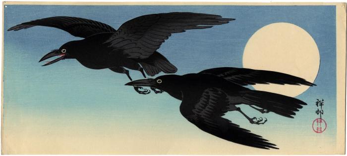 Crows in flight