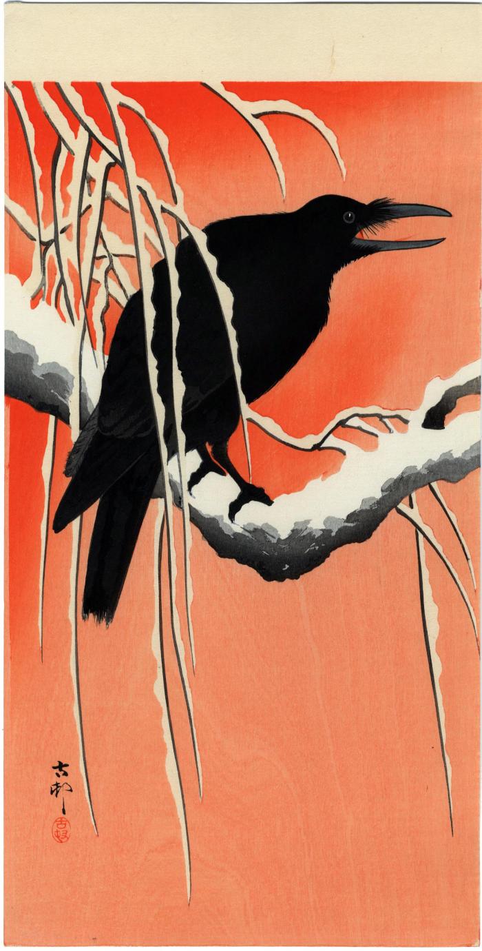 Crow on Snowy Bough