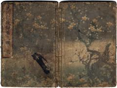 Volume 2 of <i>A Record of the Benevolent Government at Ōgawa</i> <br>
(Ōkawa Jinsei-roku- 大川仁政録)