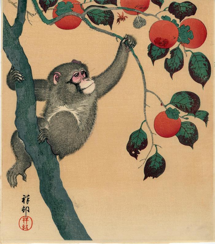 "Monkey in a Persimmon Tree" ("Kaki ni Saru" - 柿に猿)