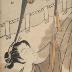 Wild Pinks (寄花): The Rokō girl (<i>Rokō musume</i> - 路考娘, nadeshiko), from the series Beauties of the Floating World Compared to Flowers (<i>Ukiyo bijin yosebana</i> - 浮世美人季) 
