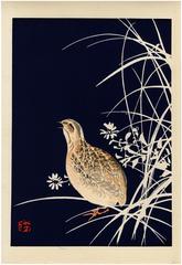 Quail from the Tansai Gafu design book