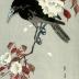 Jungle crow or <i>hashibutogarasu</i> (嘴太鴉) on cherry branch