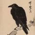 Jungle crow or <i>hashibutogarasu</i> (嘴太鴉) on cherry branch