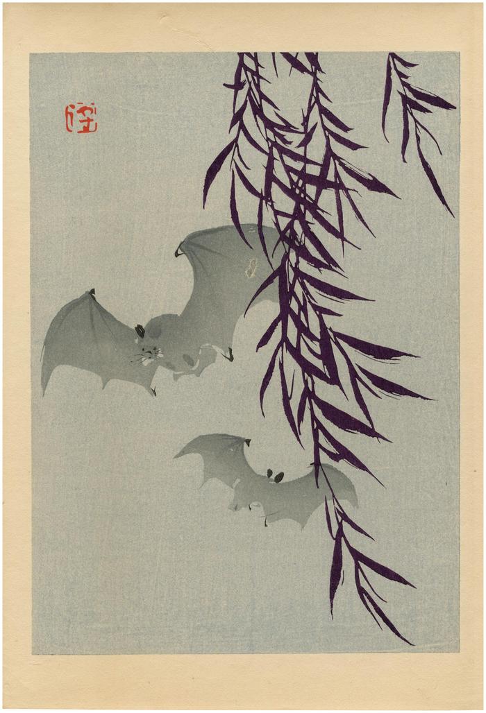 Willow and Bats from the Tansai Gafu design book