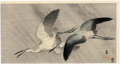 Two little egrets flying in heavy rain