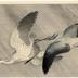 Two little egrets flying in heavy rain