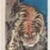Tiger and bamboo