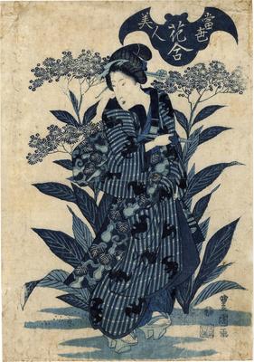 Aizuri-e - a <i>bijin</i> stands before a large plant of chrysanthemums from the series <i>Beauties of the Latest Fashion Compared with the Beauty of Flowers</i> (Tōsei bijin hana-awase - 當世美人花合)