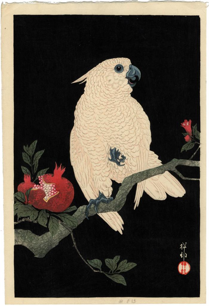 Cockatoo and pomegranate (<i>Ōmu to zakuro</i> - おうむとざくろ)
