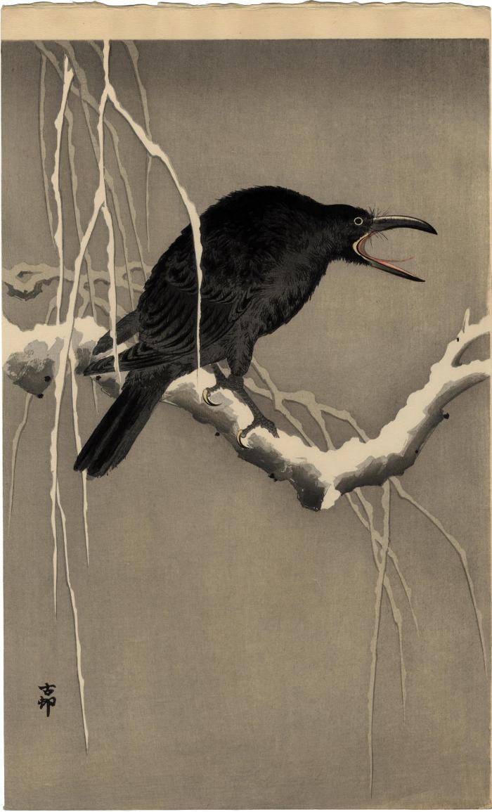 Cawing Crow
